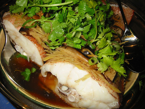 Steamed fish with coriander