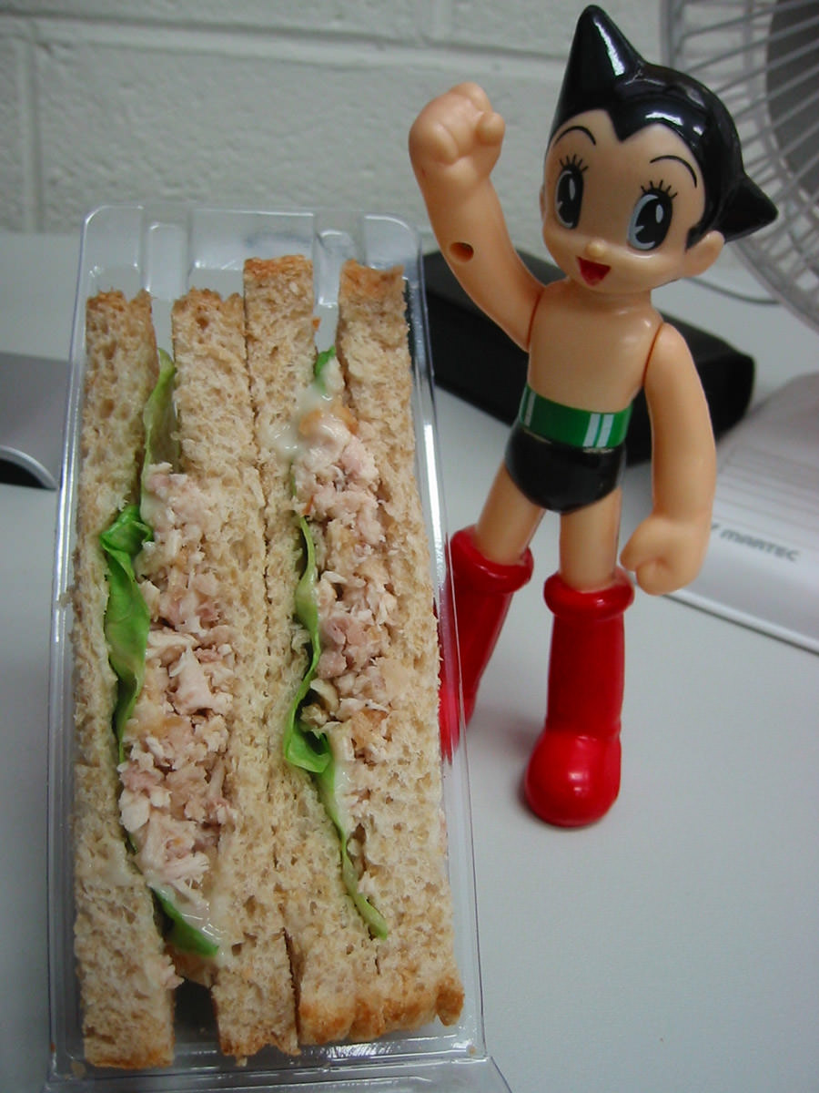 Astro likes sandwich!