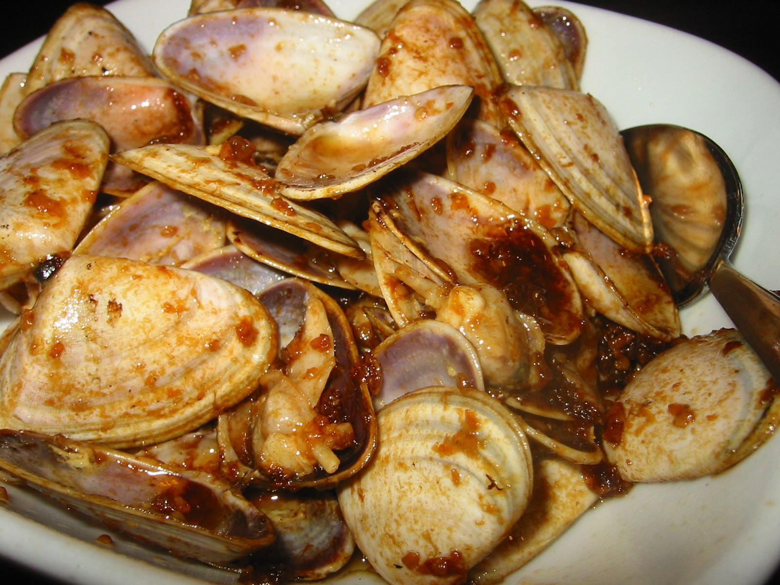 XO clams