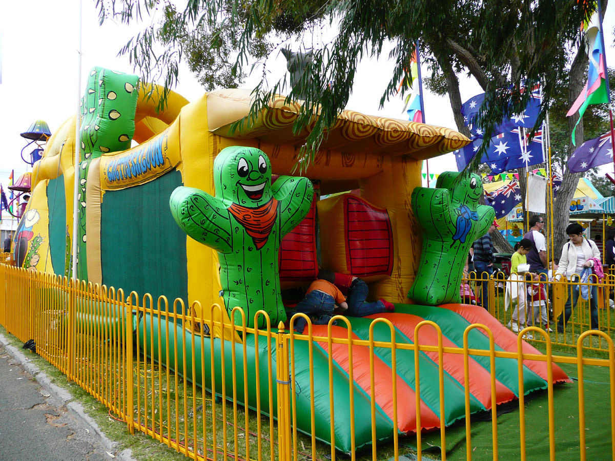Cactus bouncy castle