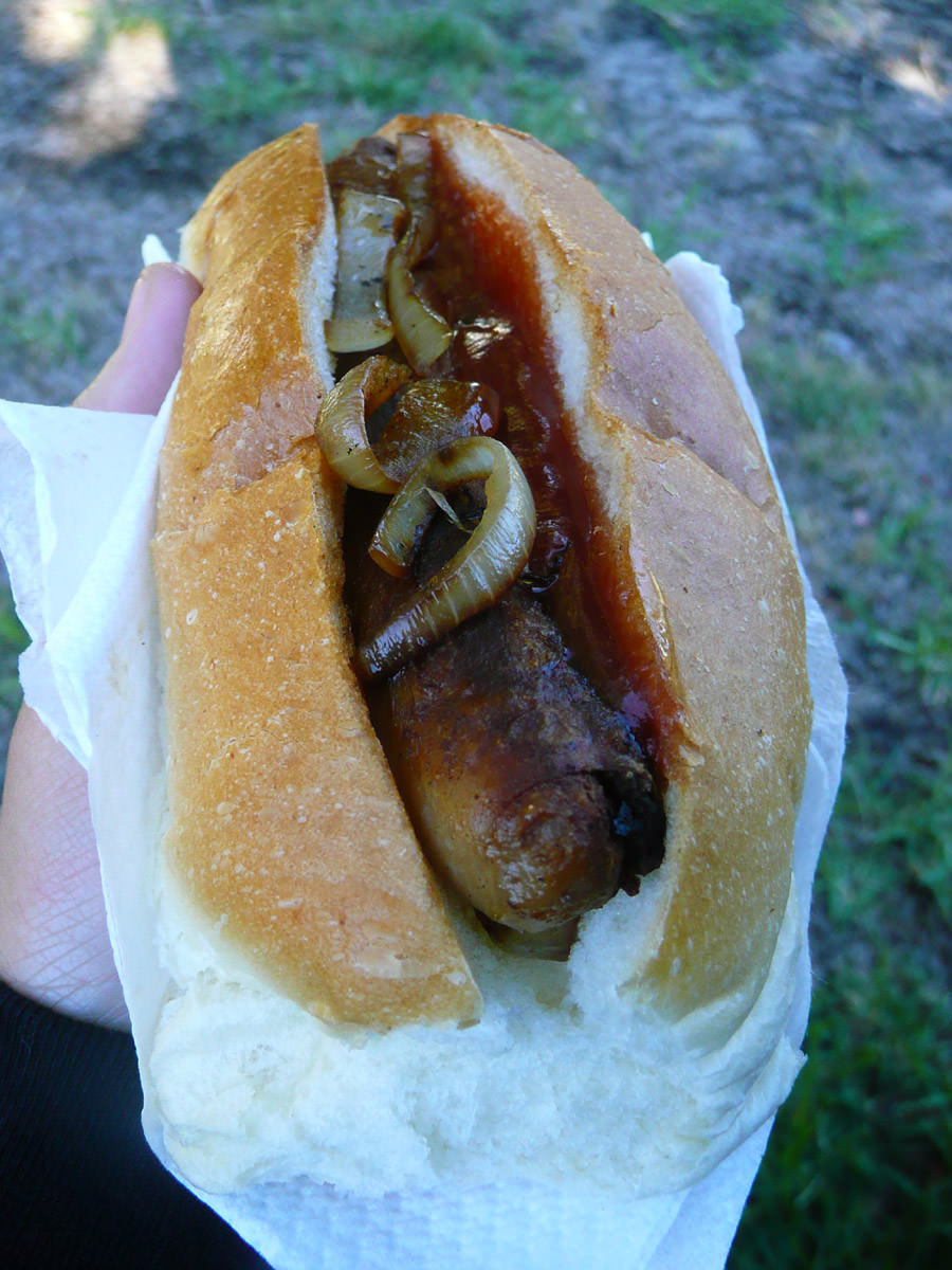 Sausage, fried onions and barbecue sauce in a hot dog bun