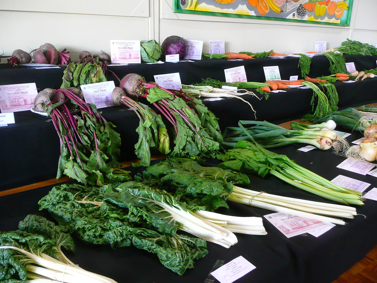 Vegetables on show - lots of green (silverbeet) and purple (beets)