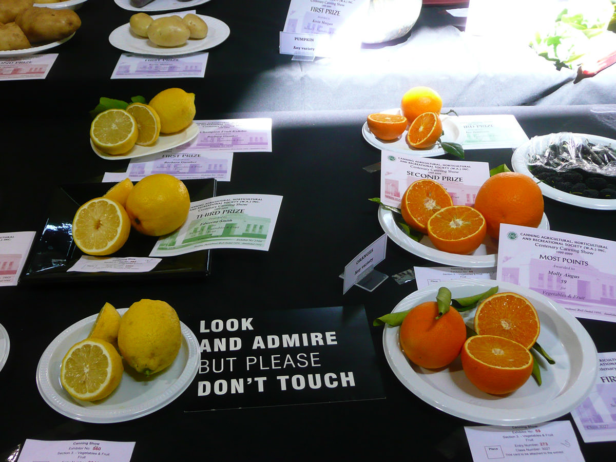 Fruit on show - lemons and oranges