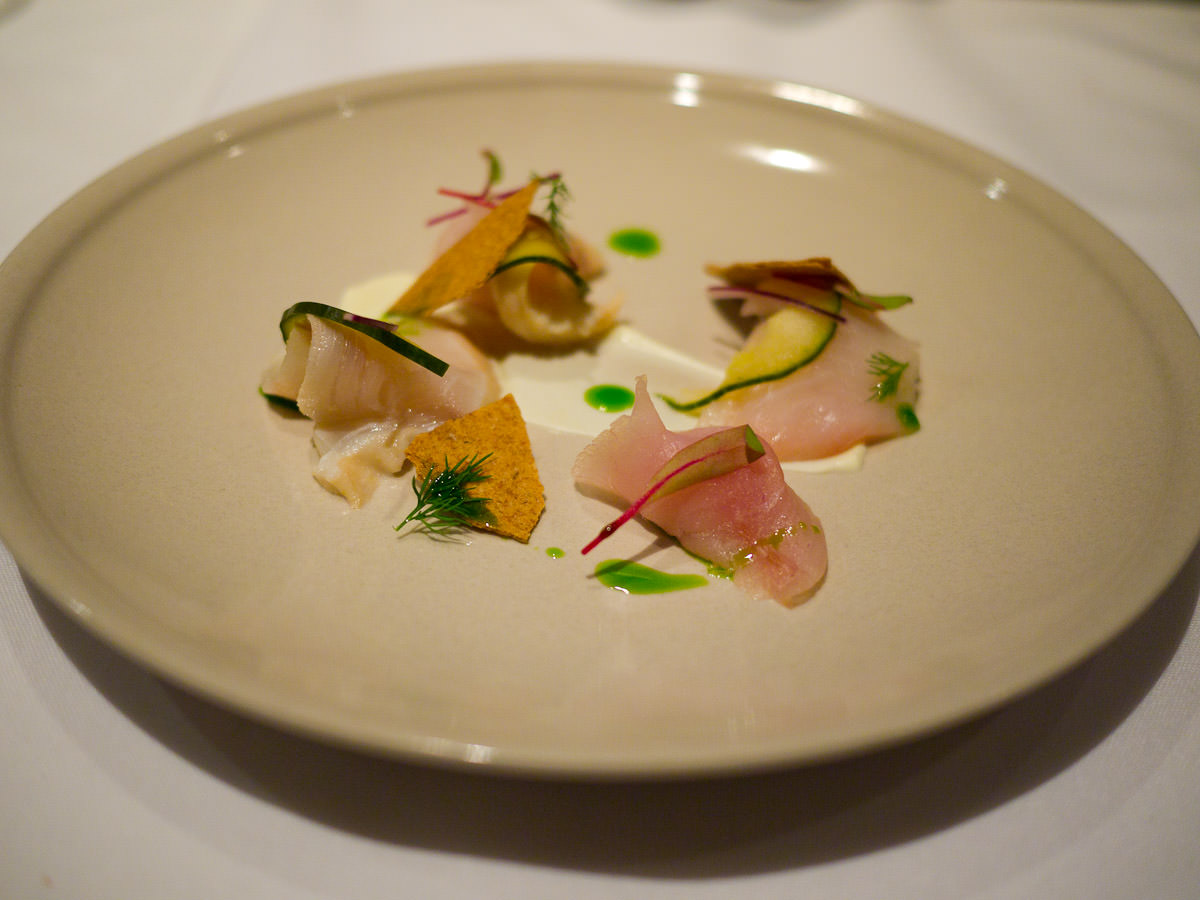 First course: Nordic kingfish