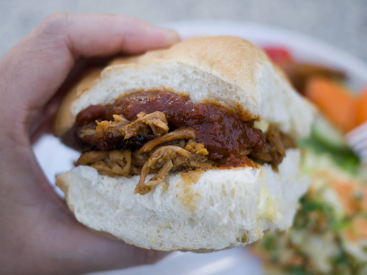 Pulled pork sandwich with homemade barbecue sauce - close-up