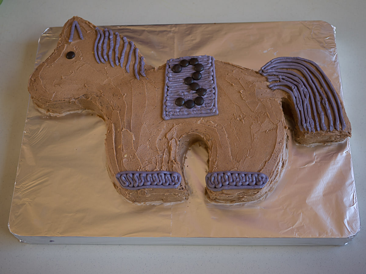 Zoe's pony cake