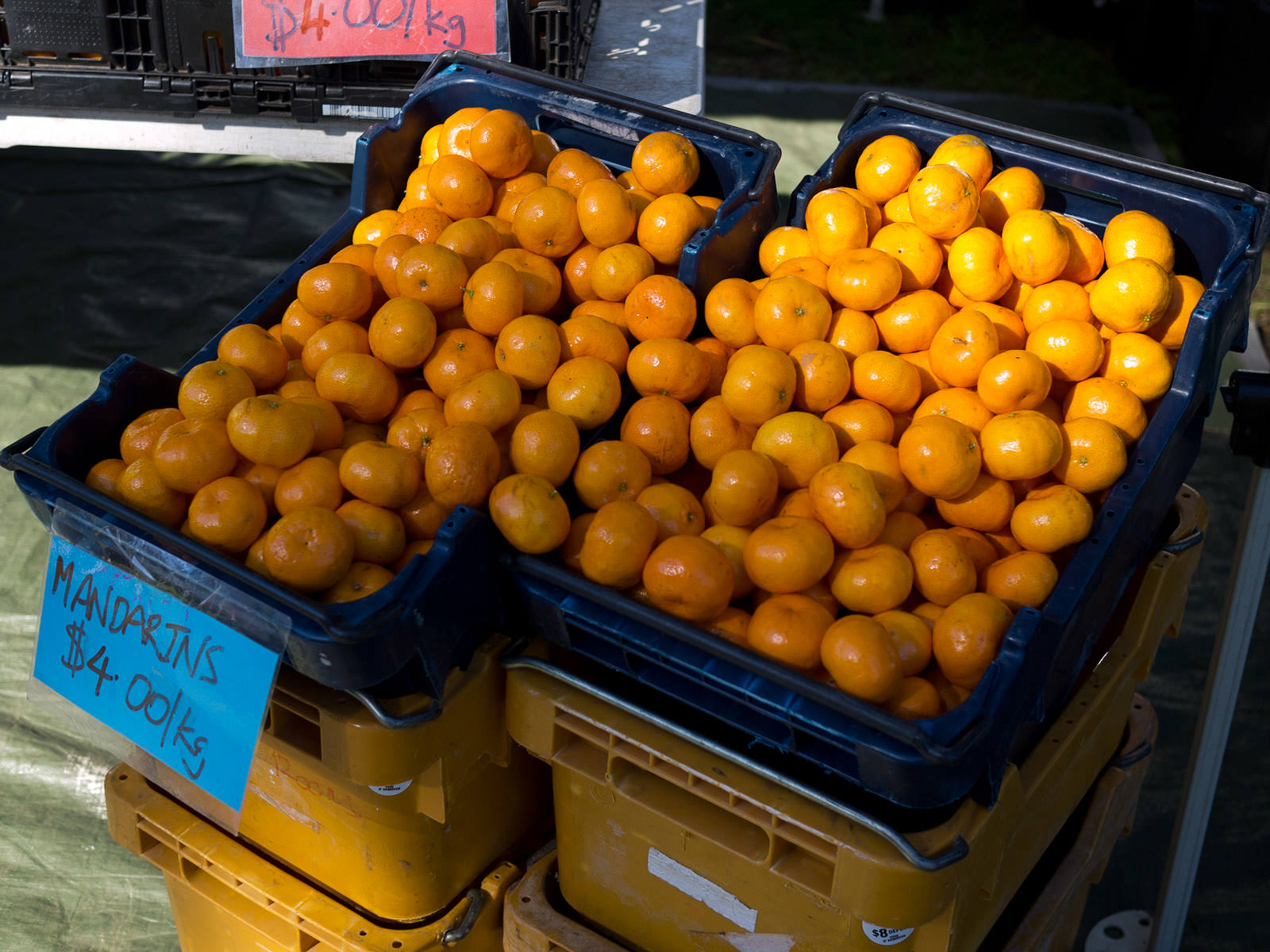 More mandarins