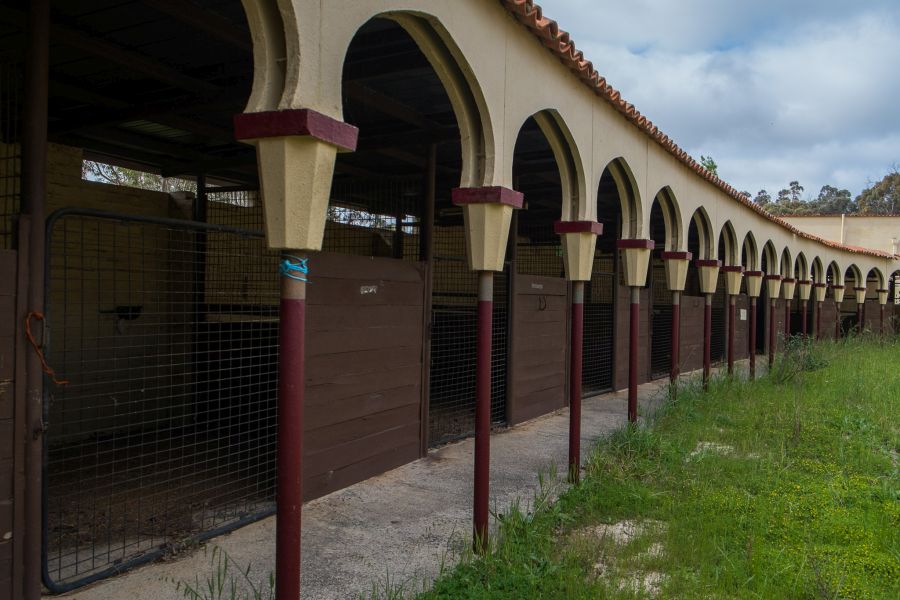 Old horse stables