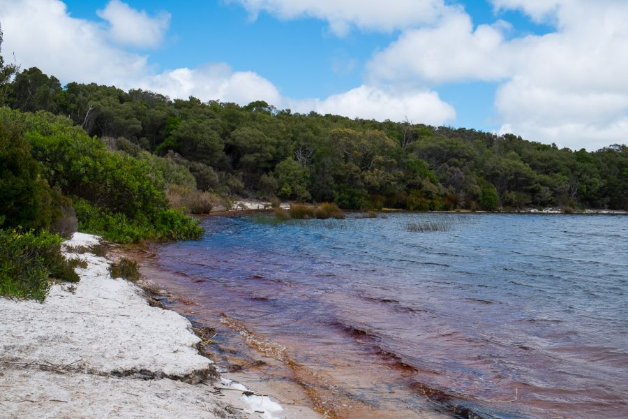 Tannins make the water look red at Penny's Lagoon