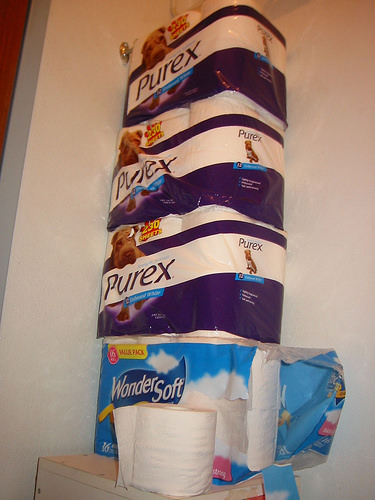 The tower of bog roll