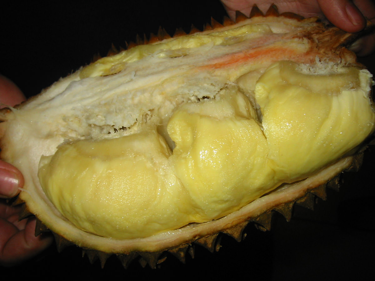 Durian, ready to eat