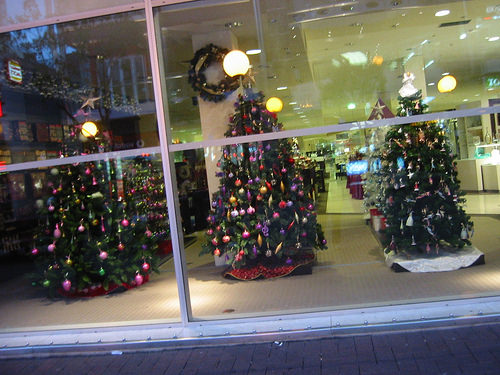 Christmas Trees in David Jones