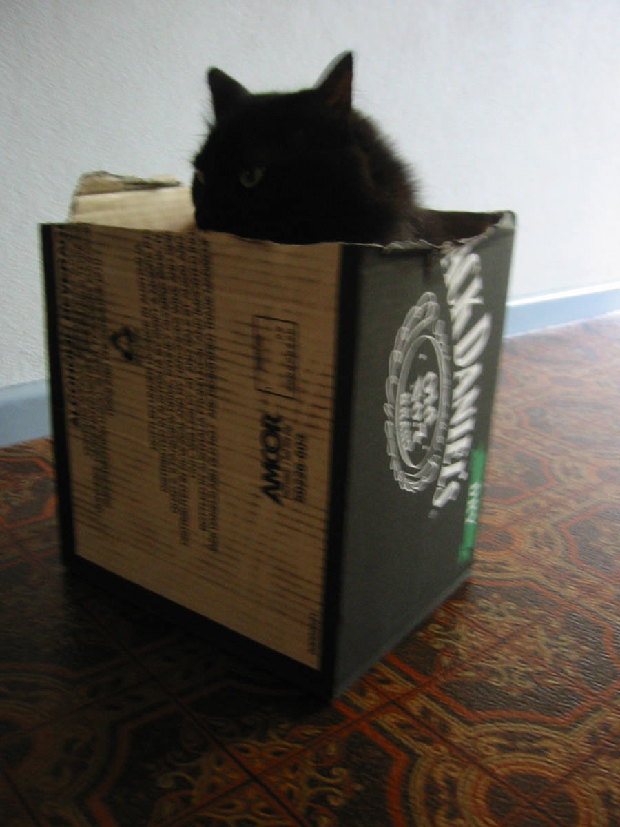 Pixel in another  box 4