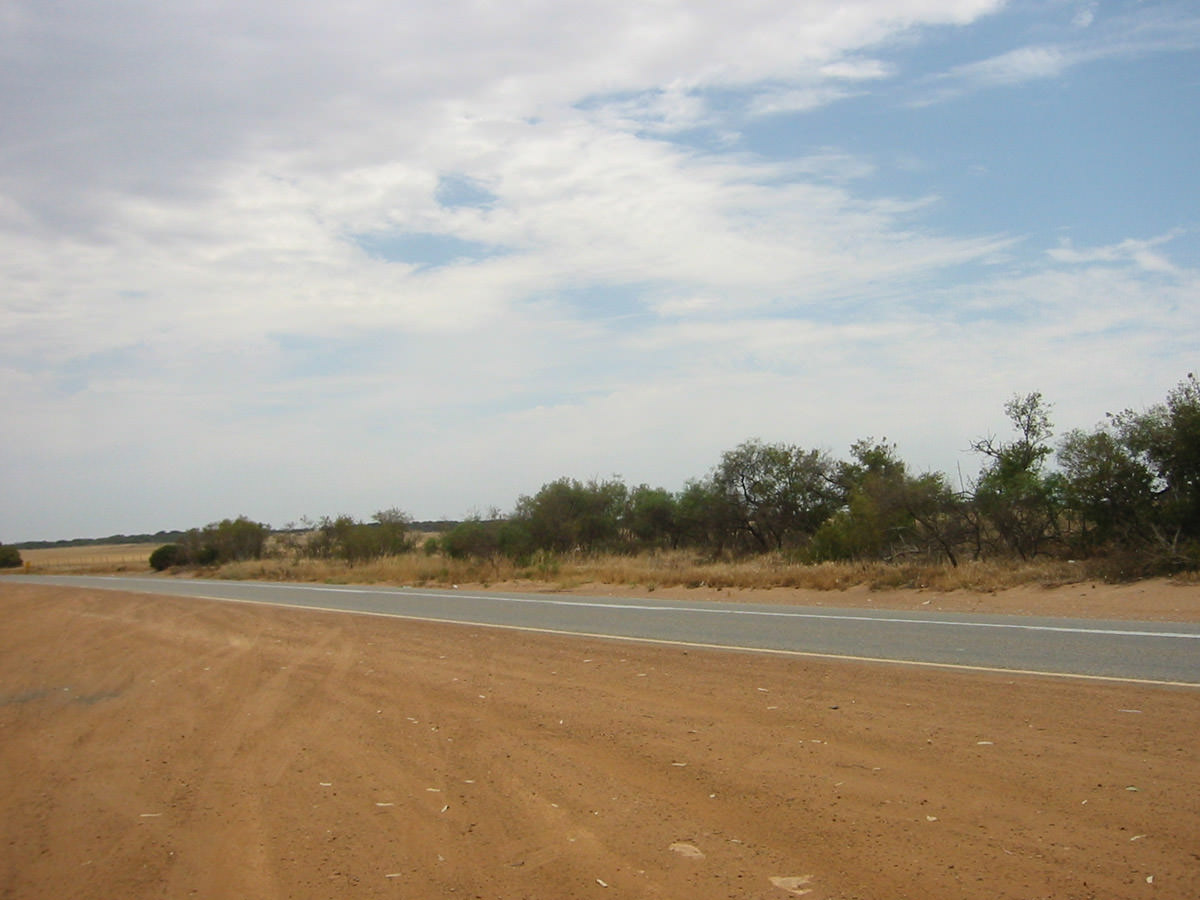 Rest stop approx. 20km south of Dongara