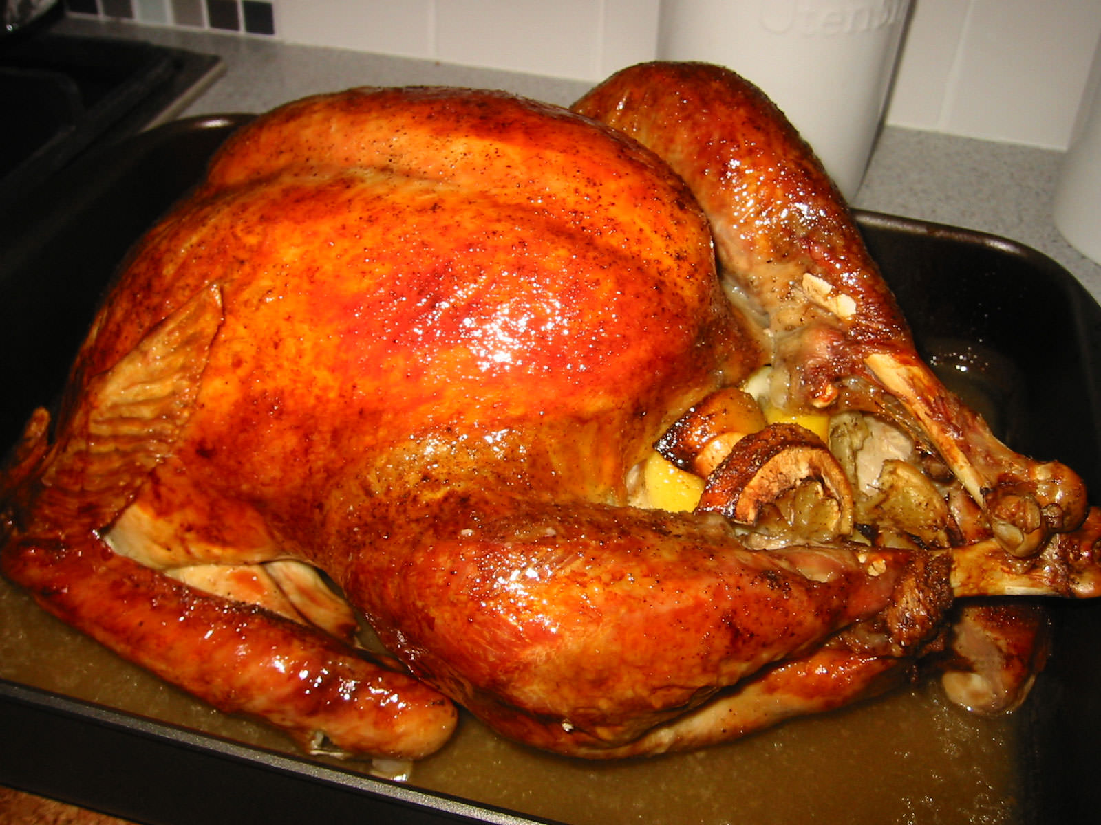 The turkey