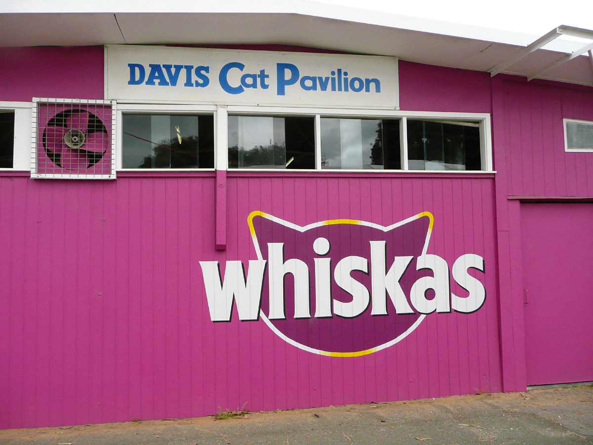 Davis Cat Pavilion