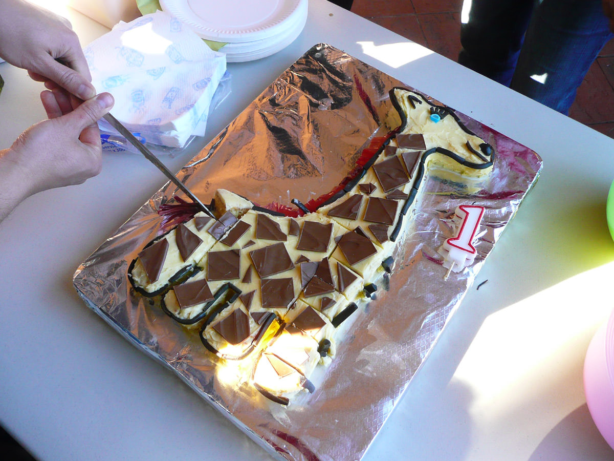 How to carve up a giraffe cake