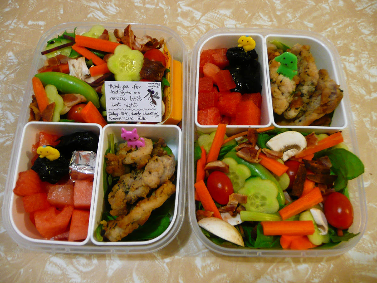 Two Tuesday bento lunches