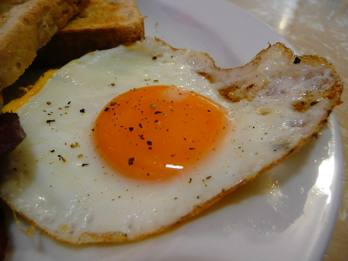 Fried egg close-up