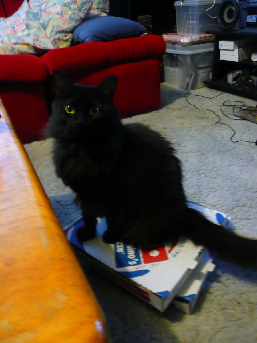 Pixel on pizza boxes