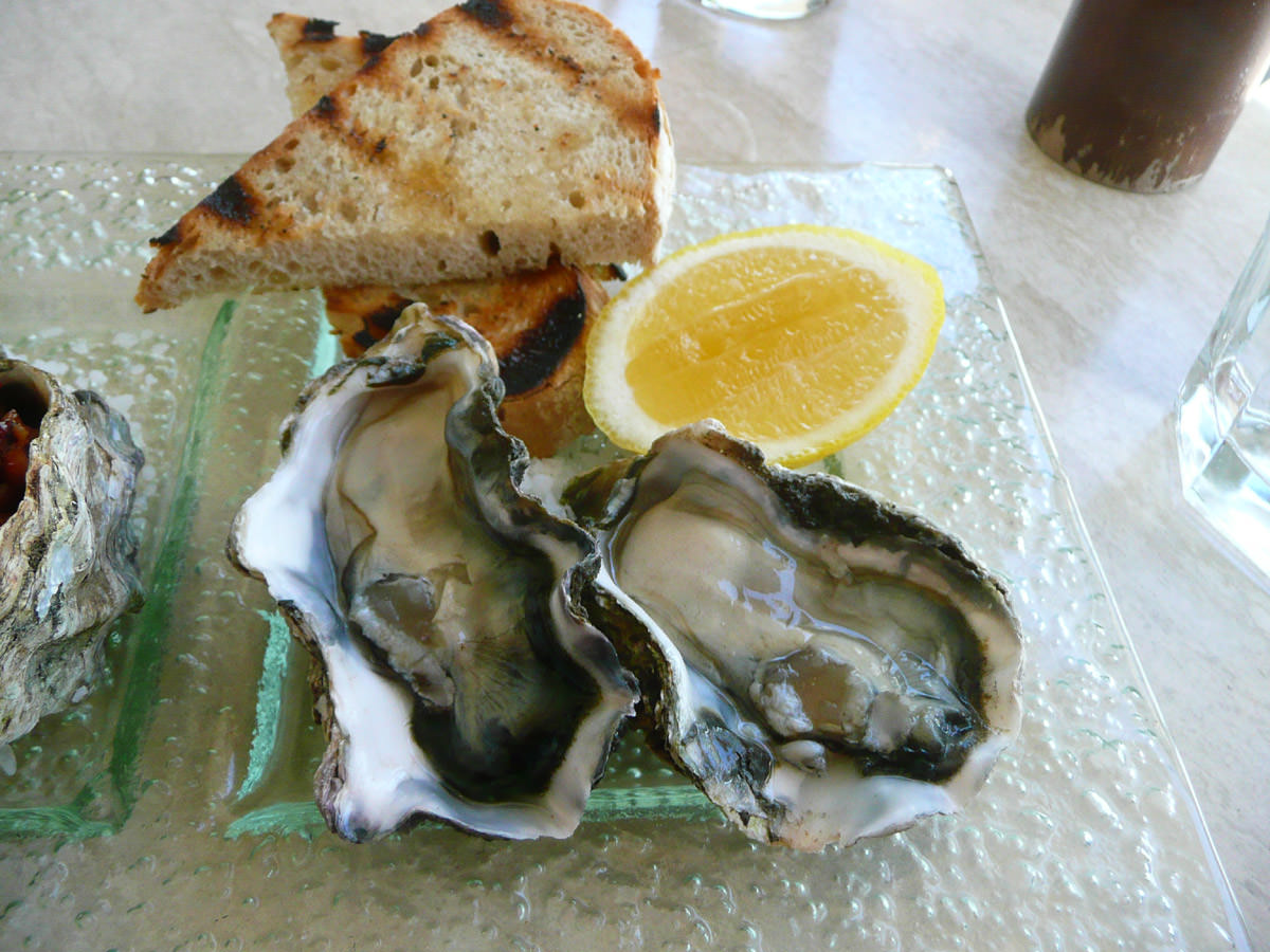 Oysters natural