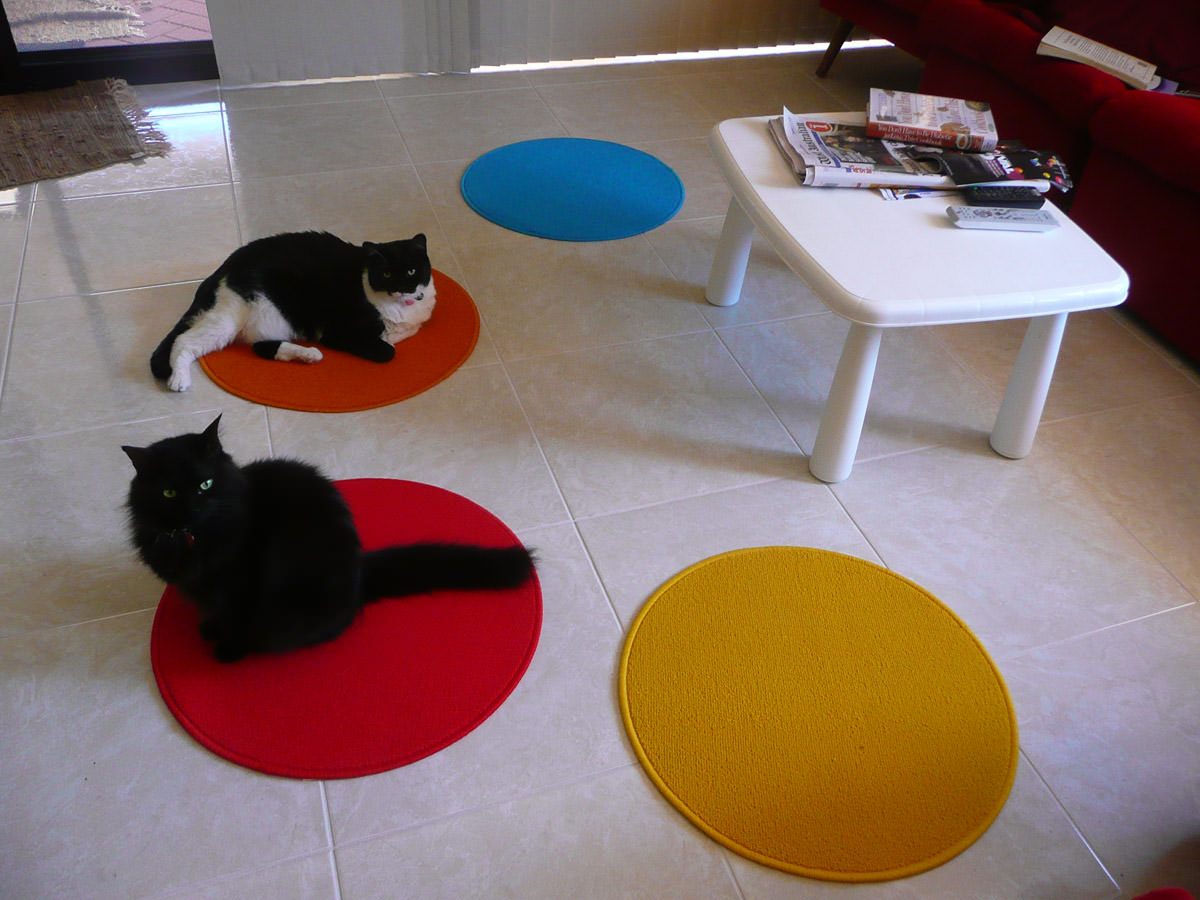 The cats like the new mats