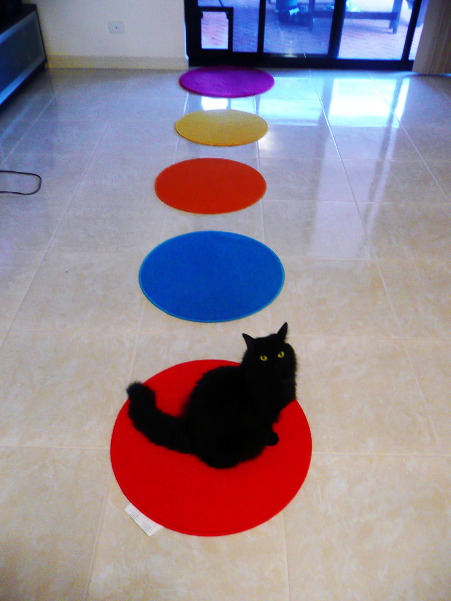 Pixel loves the red mat