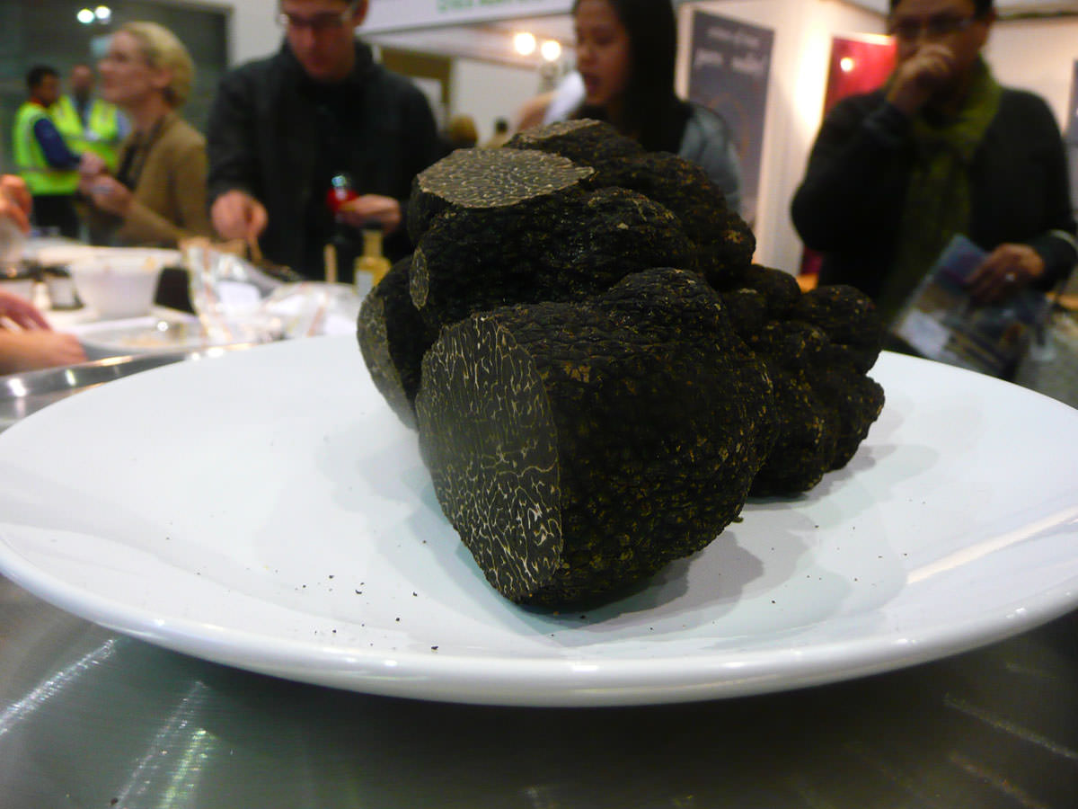 A big truffle