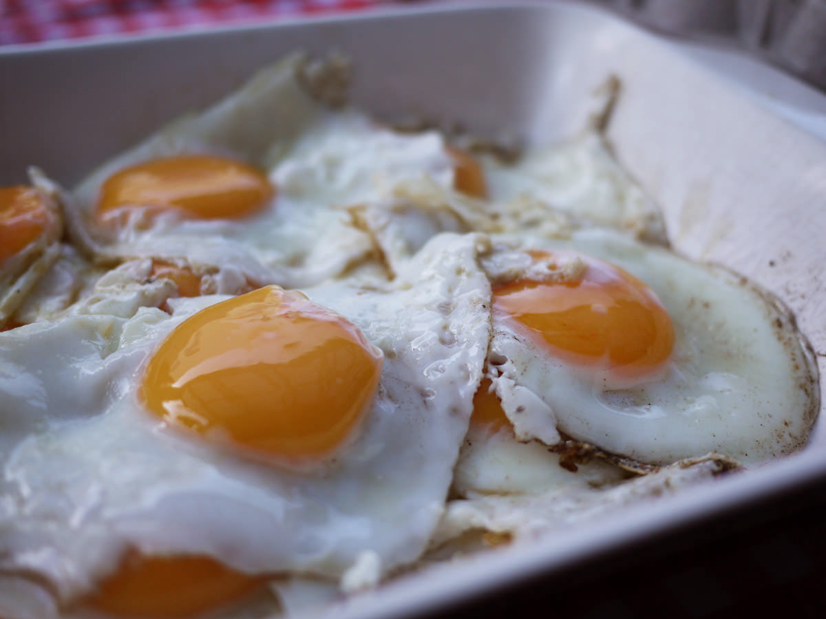 Fried eggs