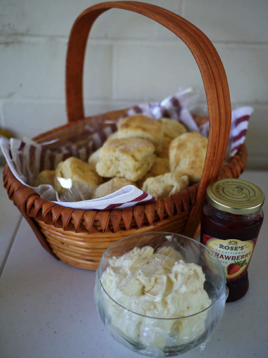 Scones (made by Mum), whipped cream and jam