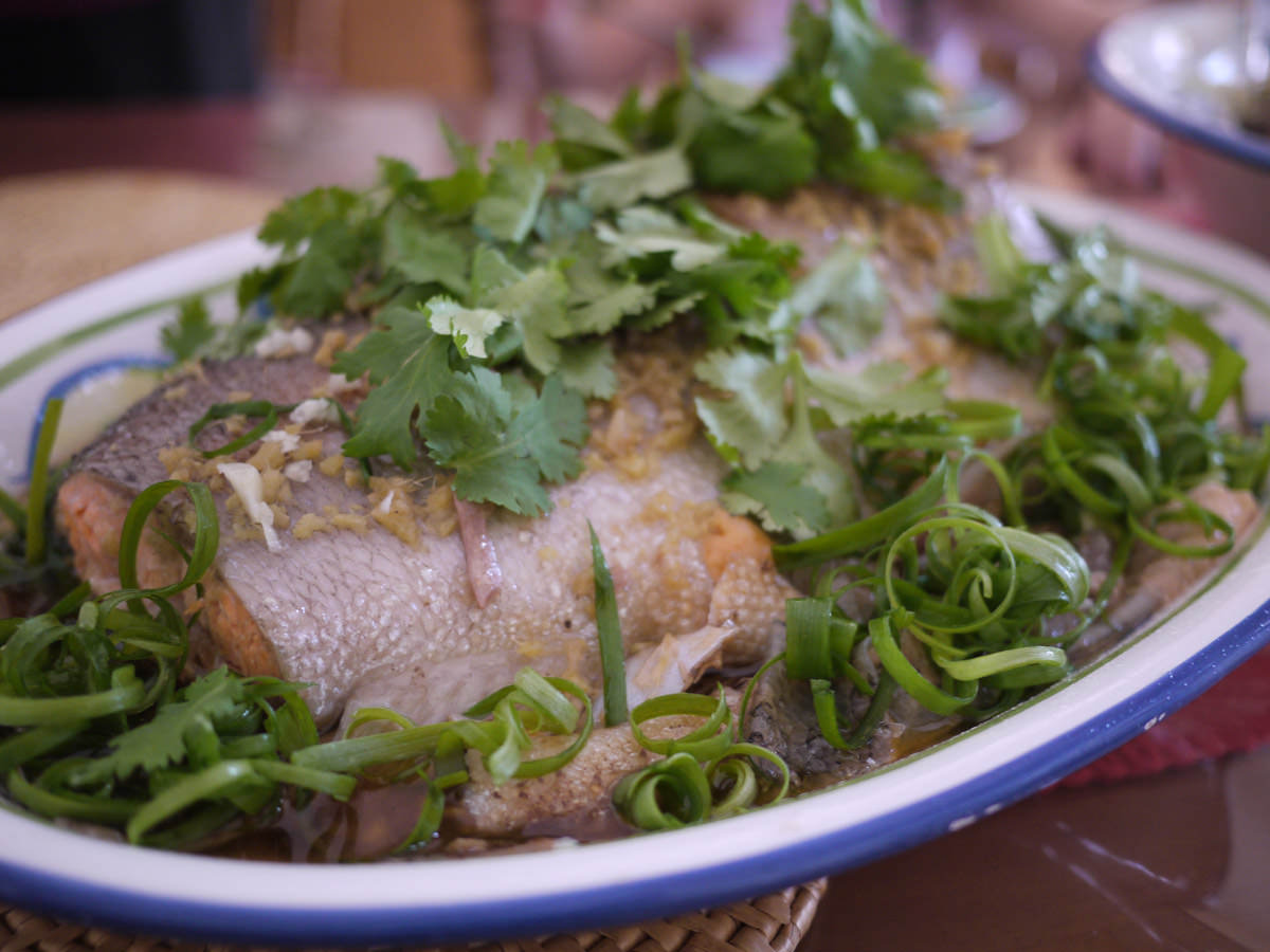 Steamed ocean trout, garnished with spring onion and coriander