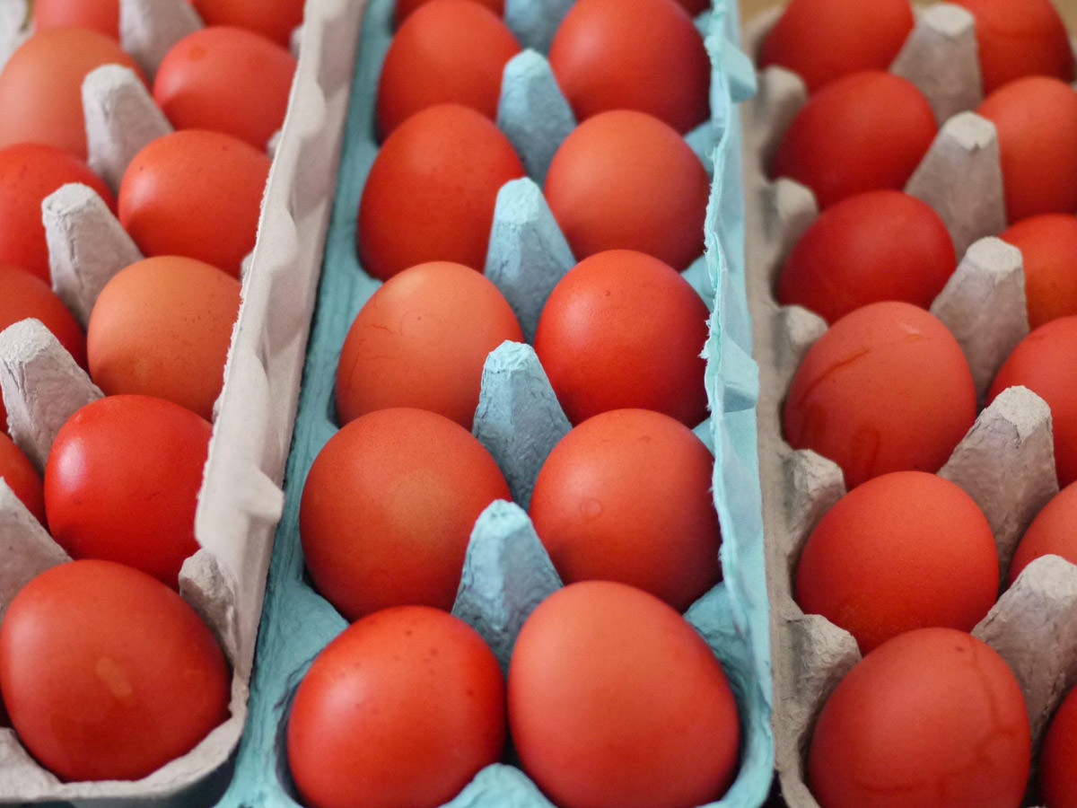 Three dozen red eggs in their cartons