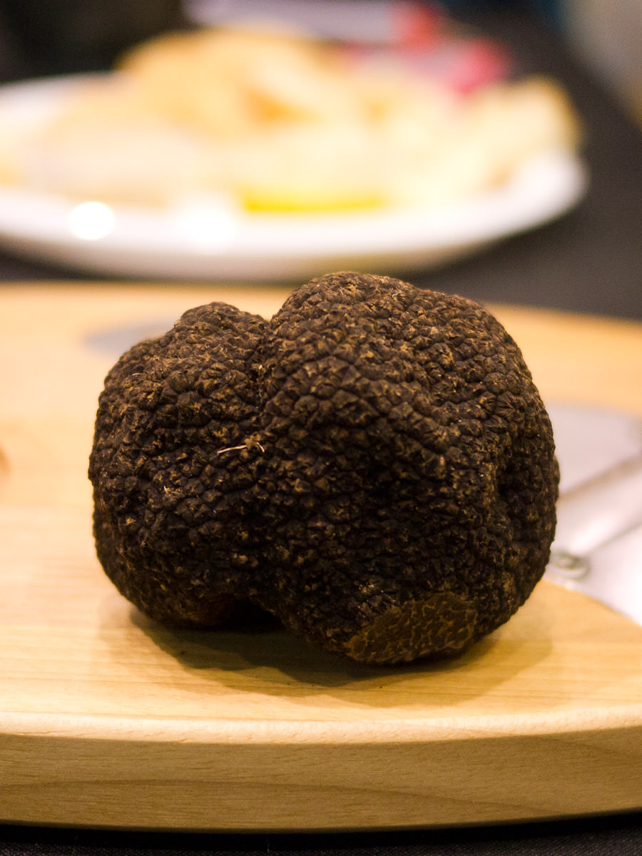 A truffle (est. worth AU$1000)