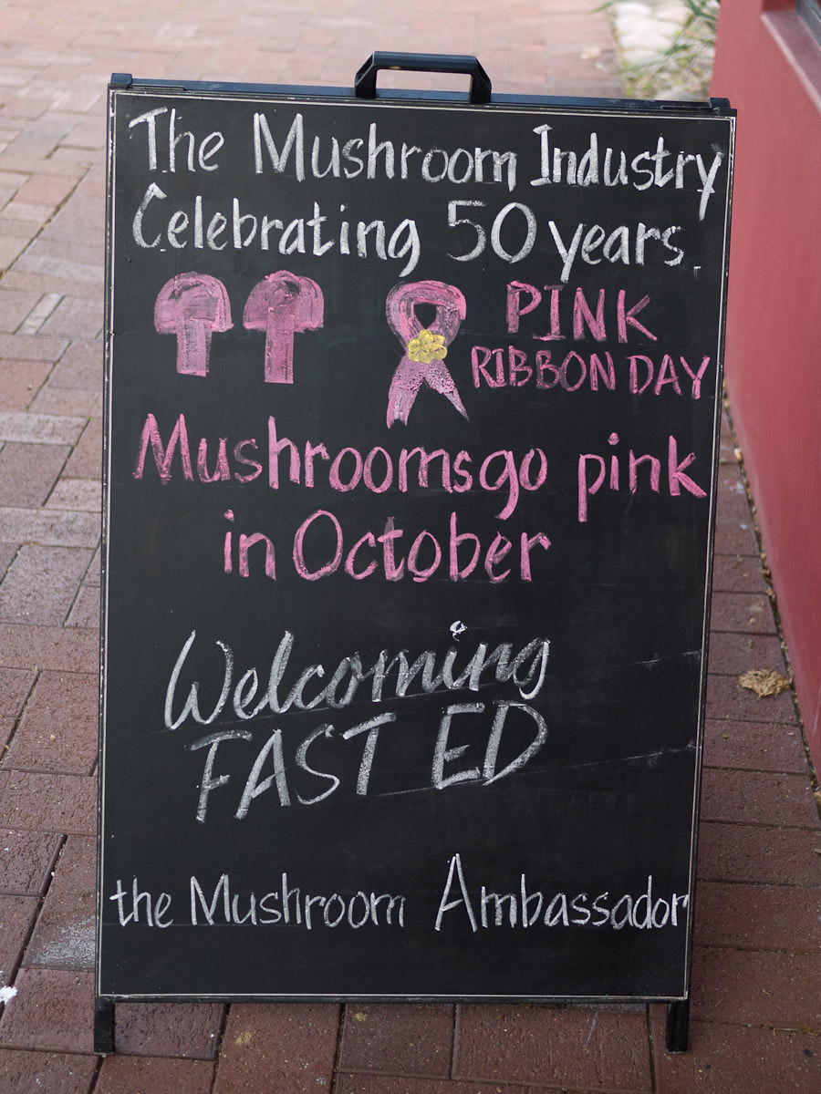 The mushroom industry celebrating 50 years - Mushrooms go pink in October