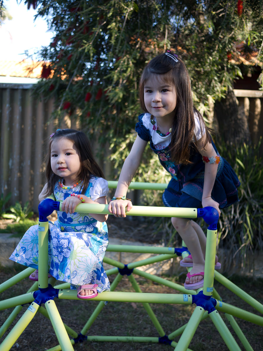 Zoe and Ruby on their climbing frame