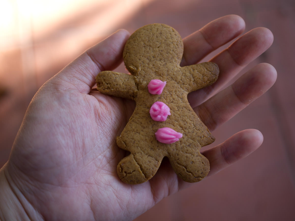 Gingerbread woman, just before the first bite