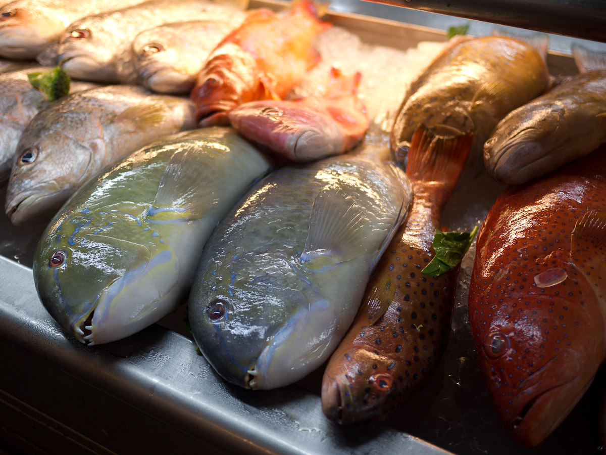 Fresh fish at Top Spot food court - choose your dinner!