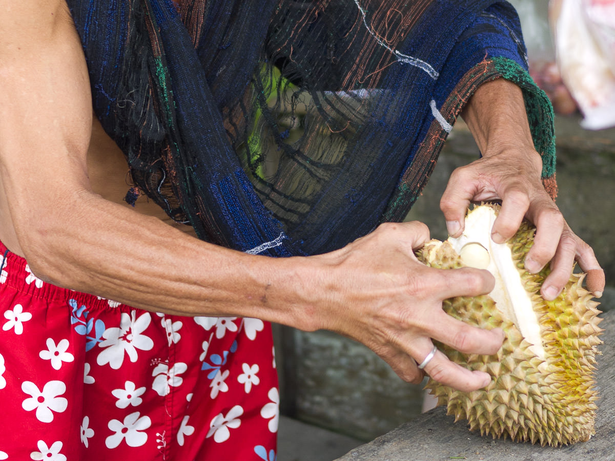 Prising open the durian
