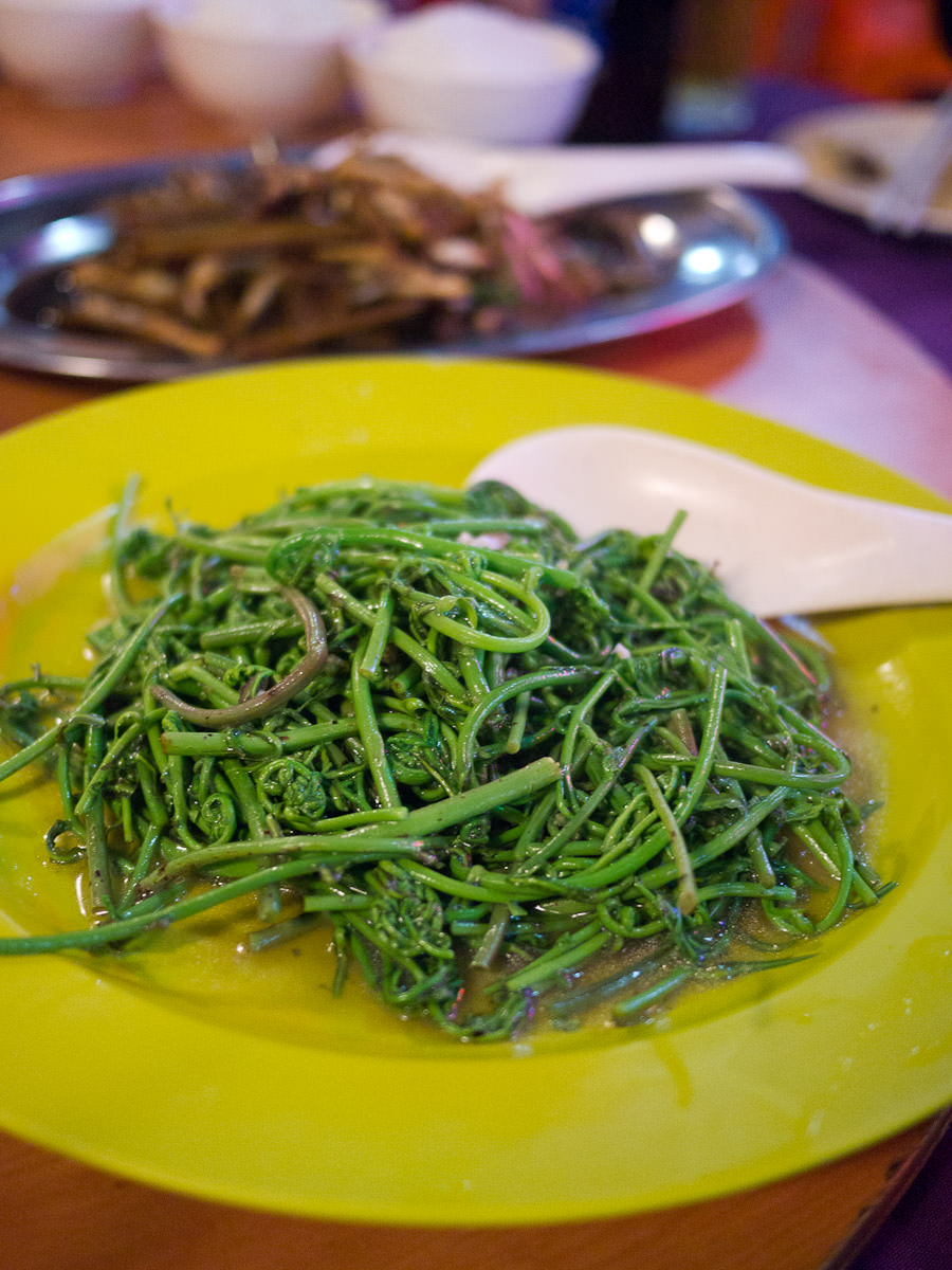 Midin (jungle fern) with oyster sauce