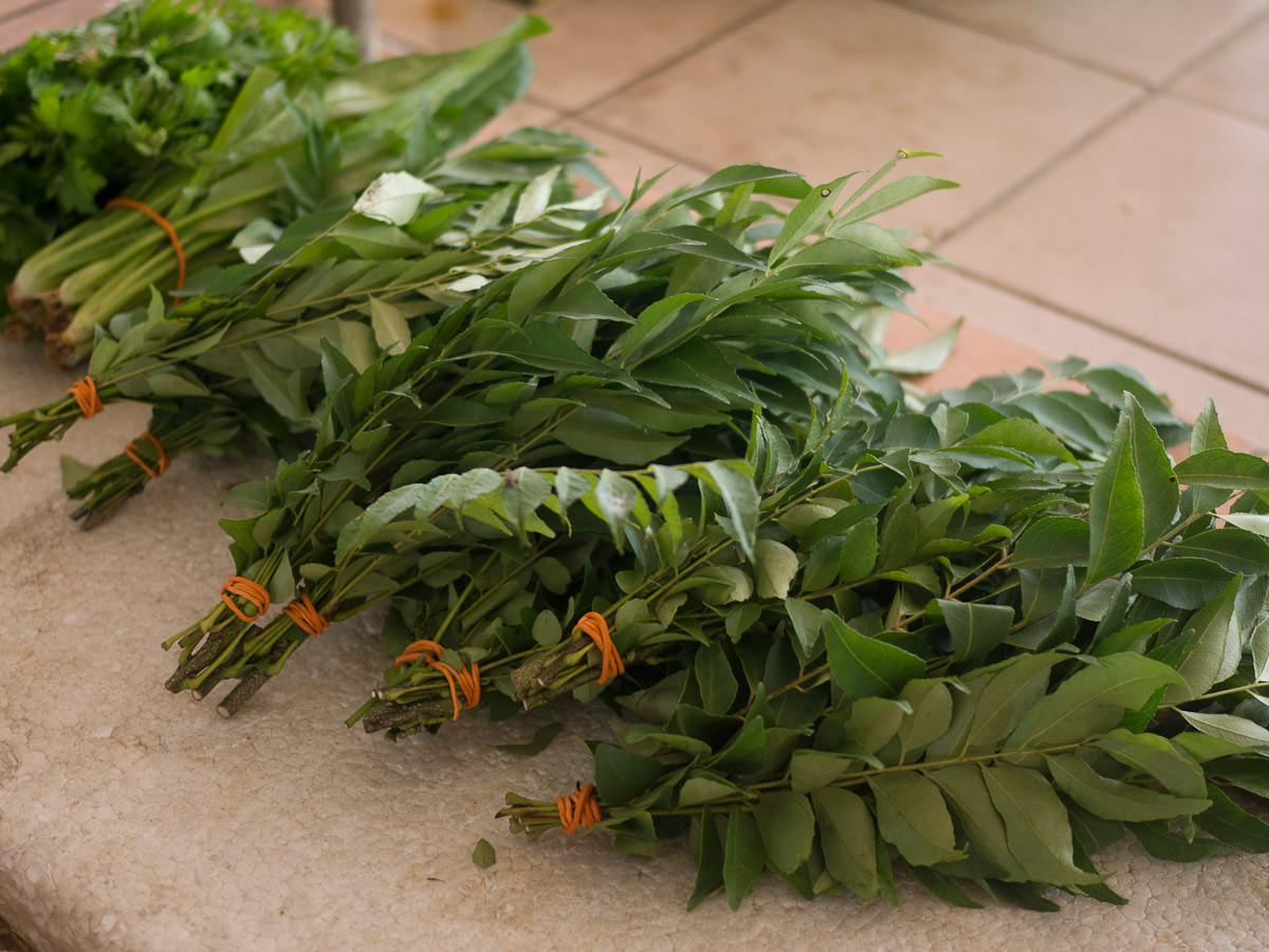Fragrant fresh curry leaves