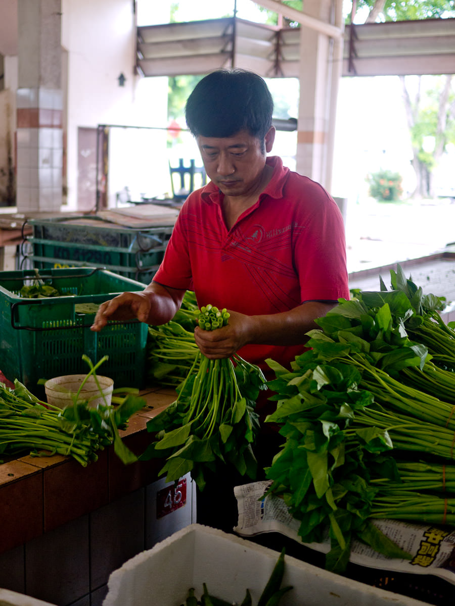 Sorting out bunches of kangkong, also known as water spinach, morning glory and water convolvulus