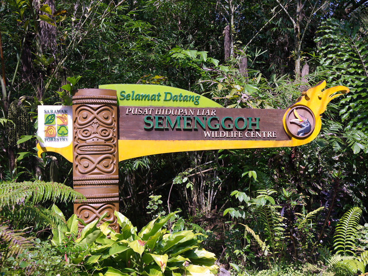 Welcome to Semenggoh Wildlife Centre
