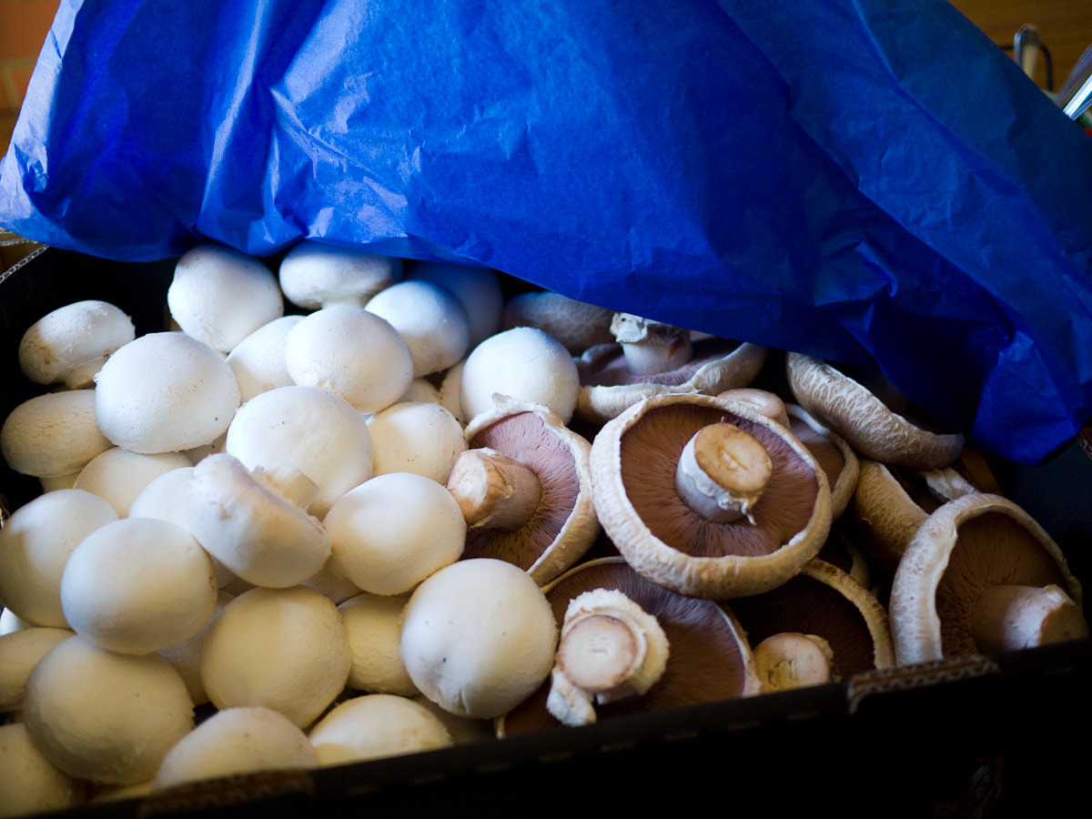 A box of mushrooms for the chefs