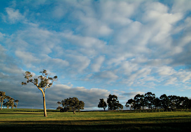 Photograph by Sue-Lyn Aldrian-Moyle - Chefs of the Margaret River Region