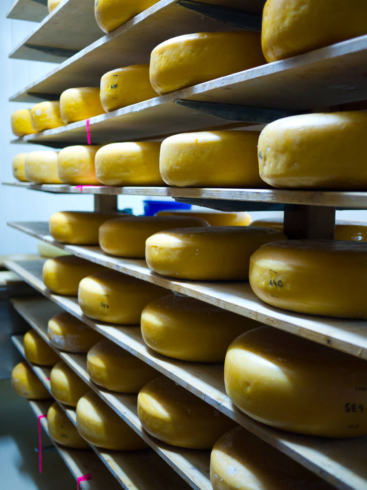 In the Cambray cheese room