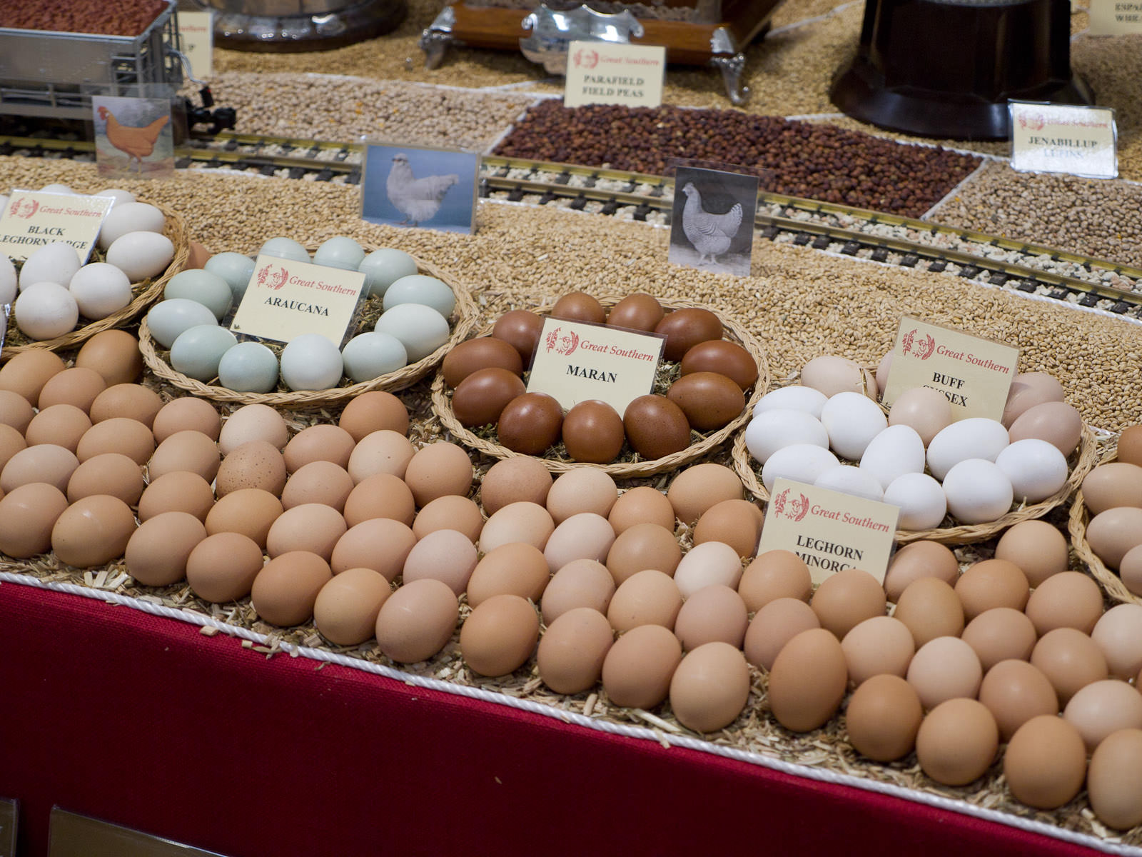 Great Southern region - eggs