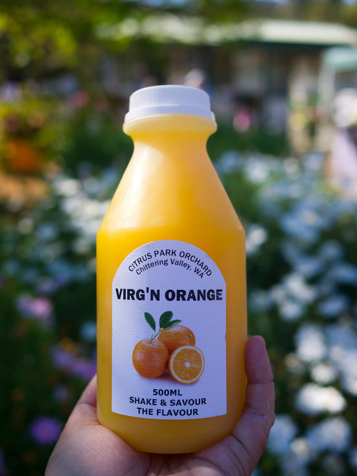 Fresh orange juice, Chittering Valley Juices