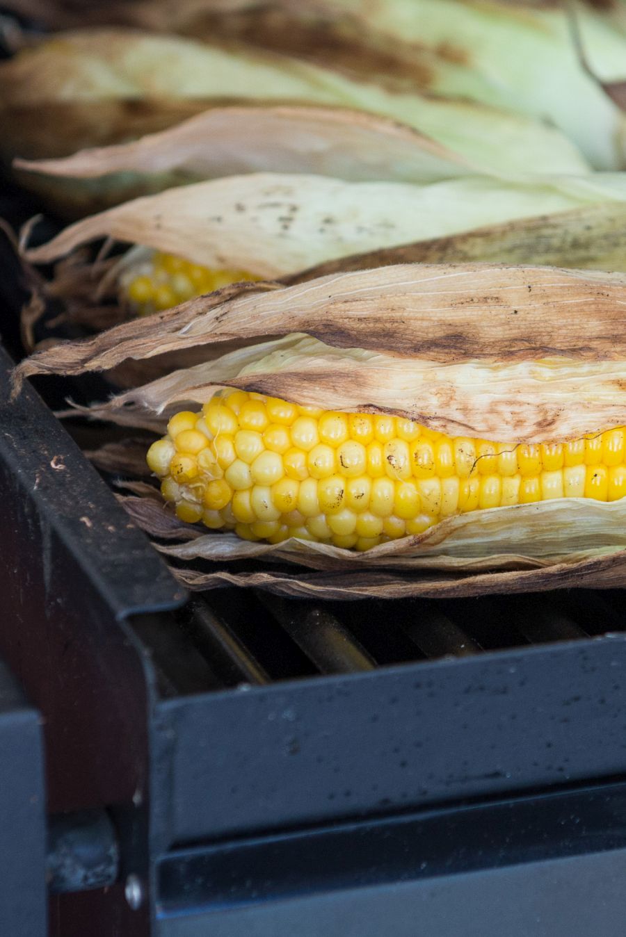 BBQ roasted corn on the cob