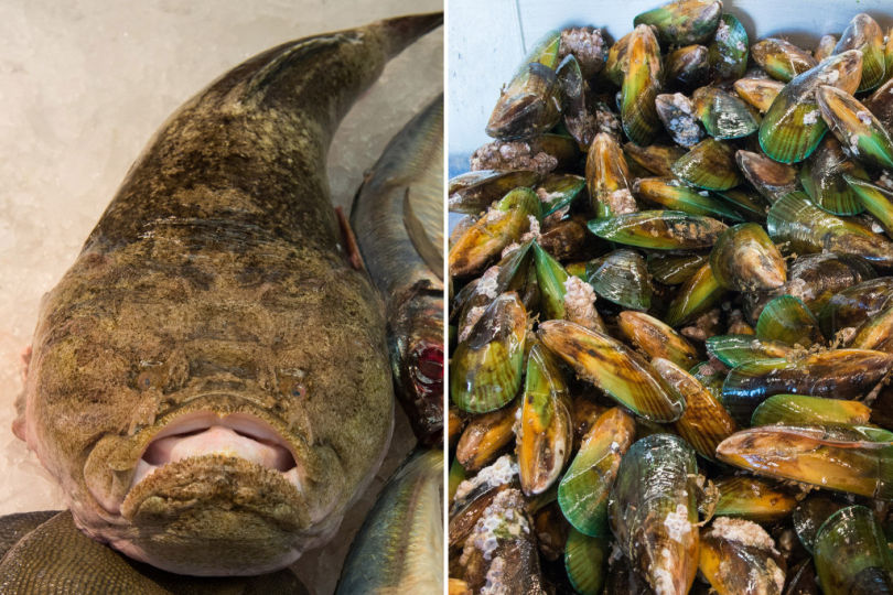 Monk fish, green-lip mussels