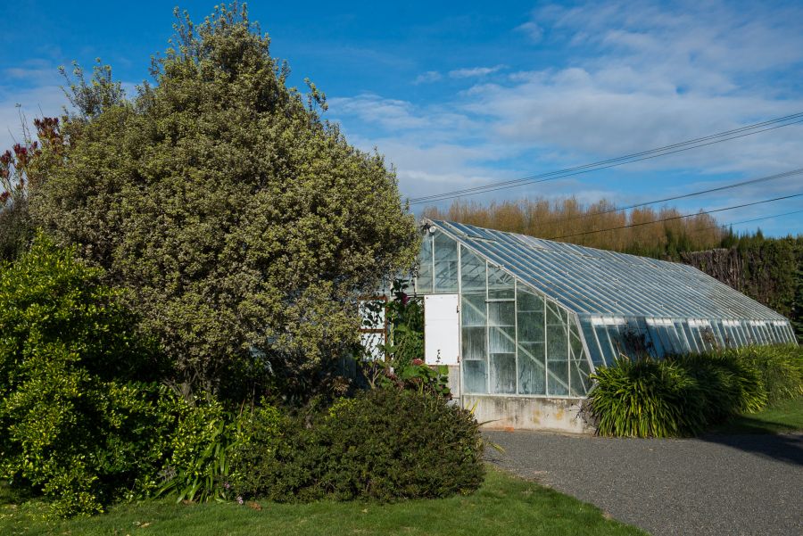 Chilli greenhouses